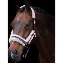 2023 HV Polo Welmoed Shine Headcollar 1601093452 - Navy Colour Navy -Weatherbeeta Shop 6943 4479fbad1324eab923fa7919ef64bb06ef5a2bbd 1601093452 5001 mfront.700x700