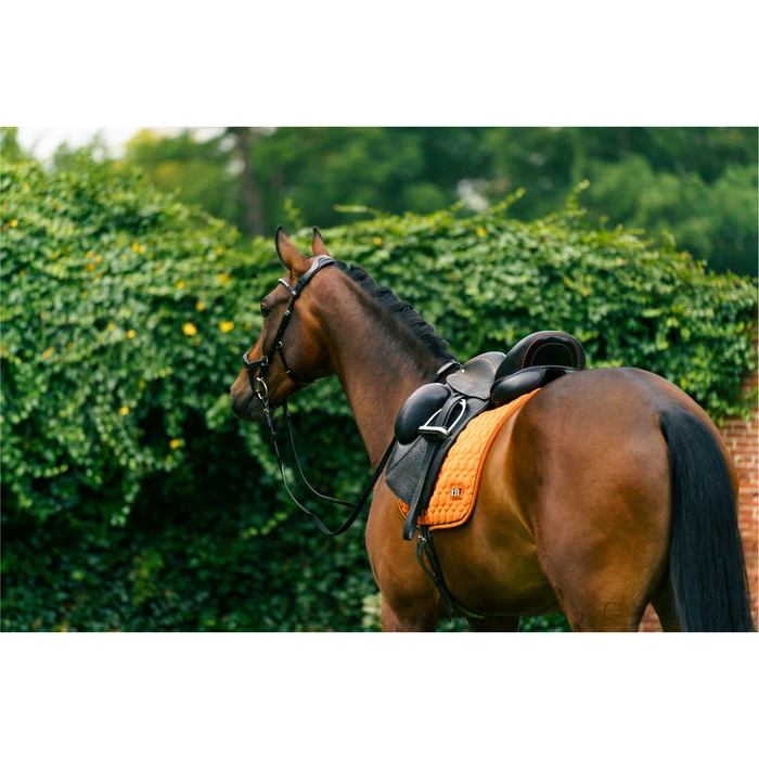 2023 HV Polo Dorian Dressage Saddle Pad 802093510 - Ginger Colour Ginger 3 2023 HV Polo Dorian Dressage Saddle Pad 802093510 - Ginger Colour Ginger - Image 3