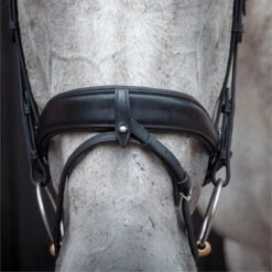 2023 Henry James Saddlery Dressage Bridle HJ-BR-03 - Black Colour Black -Weatherbeeta Shop 6998 202320Henry20James20Saddlery20Dressage20Bridle20HJ BR 0320 20Black204.700x700