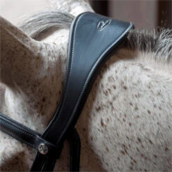 2023 Henry James Saddlery Dressage Bridle HJ-BR-03 - Black Colour Black -Weatherbeeta Shop 6998 202320Henry20James20Saddlery20Dressage20Bridle20HJ BR 0320 20Black205.700x700