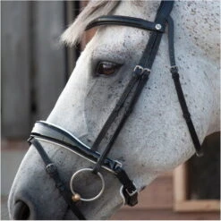 2023 Henry James Saddlery Patent Dressage Bridle With White Padding HJ-BR-07 - Black -Weatherbeeta Shop 7005 202320Henry20James20Saddlery20Patent20Dressage20Bridle20with20White20Padding20HJ BR 0720 20Black204.700x700