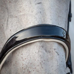 2023 Henry James Saddlery Patent Dressage Bridle With White Padding HJ-BR-07 - Black -Weatherbeeta Shop 7005 202320Henry20James20Saddlery20Patent20Dressage20Bridle20with20White20Padding20HJ BR 0720 20Black205.700x700