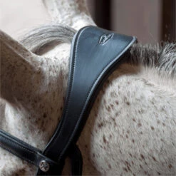 2023 Henry James Saddlery Patent Dressage Bridle With White Padding HJ-BR-07 - Black -Weatherbeeta Shop 7005 202320Henry20James20Saddlery20Patent20Dressage20Bridle20with20White20Padding20HJ BR 0720 20Black206.700x700