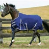 2022 Weatherbeeta Comfitec Essential Lite Standard Neck Turnout Rug - Navy / Silver