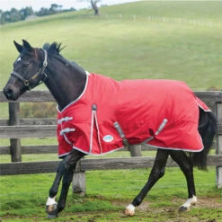 2022 Weatherbeeta Comfitec Classic Lite Standard Neck Turnout Rug - Red / Silver