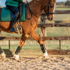 Equilibrium Tri-Zone All Sports Boots Black -Weatherbeeta Shop ASB20Black20Set20120Web.700x700