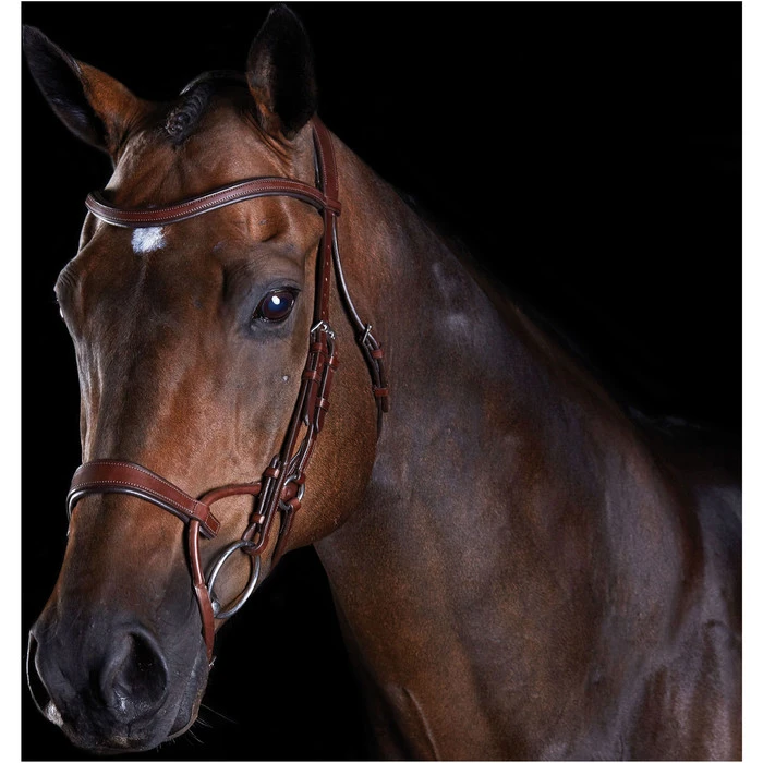 Collegiate Comfitec Training Bridle - Brown Colour Brown 1 Collegiate Comfitec Training Bridle - Brown Colour Brown