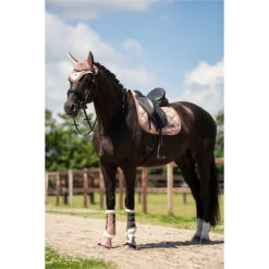 2023 Imperial Riding Lovely General Purpose Saddle Pad ZT73122000 - Rosy Colour Rosy 7 2023 Imperial Riding Lovely General Purpose Saddle Pad ZT73122000 - Rosy Colour Rosy -Weatherbeeta Shop DSC02970.700x700