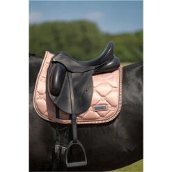 2023 Imperial Riding Lovely General Purpose Saddle Pad ZT73122000 - Rosy Colour Rosy 6 2023 Imperial Riding Lovely General Purpose Saddle Pad ZT73122000 - Rosy Colour Rosy -Weatherbeeta Shop DSC03143.700x700
