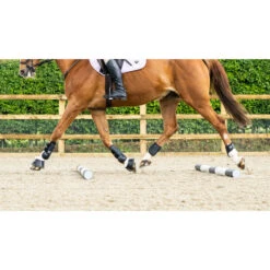 Woof Wear Pro Tendon Boots Black -Weatherbeeta Shop DSC2512.700x700