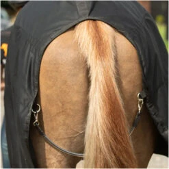 Equilibrium Magnetic Rug With Neck - Black -Weatherbeeta Shop Equilibrium Magnetic Rug with Neck Black 6.700x700