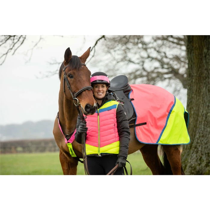 2022 Equisafety Charlotte Dujardin Hi Vis Multi Coloured Horse Sheet CD-MCQWS - Pink / Yellow 1 2022 Equisafety Charlotte Dujardin Hi Vis Multi Coloured Horse Sheet CD-MCQWS - Pink / Yellow