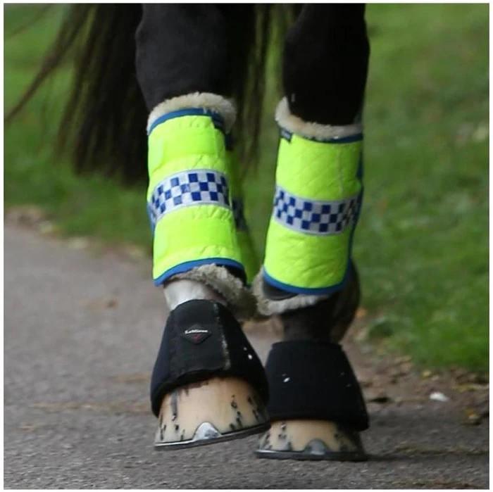 2022 Equisafety Polite Horse Leg Wraps POLLEG - Yellow 1 2022 Equisafety Polite Horse Leg Wraps POLLEG - Yellow