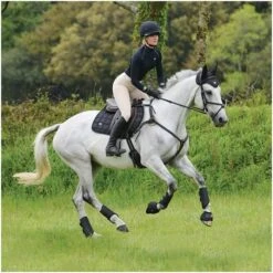 2021 Woof Wear IVent Overreach Boot WB0071 - Brushed Steel Colour Brushed Steel 5 2021 Woof Wear IVent Overreach Boot WB0071 - Brushed Steel Colour Brushed Steel -Weatherbeeta Shop PiLa5nWM.700x700