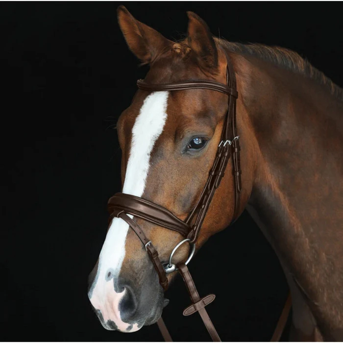 2022 Collegiate Mono Crown Padded Raised Flash Bridle 800902 - Brown Colour Brown 1 2022 Collegiate Mono Crown Padded Raised Flash Bridle 800902 - Brown Colour Brown