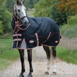 WeatherBeeta ComFiTec Premier With Therapy-Tec Detach-A-Neck Lite Plus Turnout Rug 10062120 - Black / Silver / Red