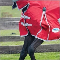 2022 Weatherbeeta Comfitec Classic Lite Combo Neck Turnout Rug - Red / Silver Colour Red/Silver -Weatherbeeta Shop Weatherbeeta Comfitec Classic Combo Neck Lite Red 2.700x700