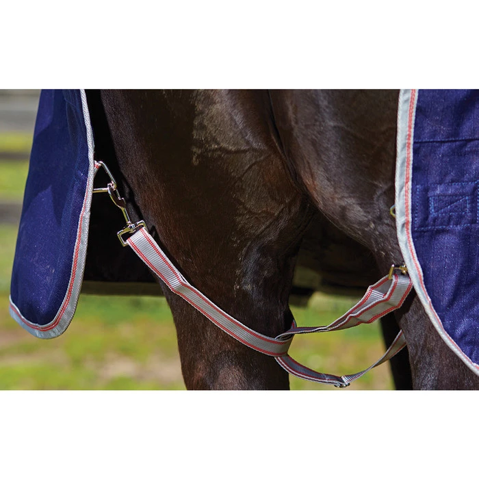 2022 Weatherbeeta Comfitec Essential Heavy Combo Neck Turnout Rug - Navy / Silver 2 2022 Weatherbeeta Comfitec Essential Heavy Combo Neck Turnout Rug - Navy / Silver - Image 2