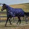 Weatherbeeta Comfitec Essential Medium Combo Neck Rug - Navy / Silver