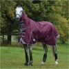 Weatherbeeta Comfitec Plus Dynamic II Lite Combo Neck Rug - Maroon / Grey