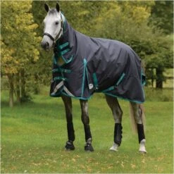 Weatherbeeta Comfitec Plus Dynamic II Medium-Lite Combo Neck Rug - Black / Aqua Colour Black/Aqua