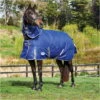 Weatherbeeta Comfitec Premier Medium Detach-A-Neck Rug - Blue / Grey
