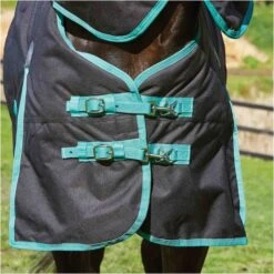 Weatherbeeta Green-Tec 900D Lite Plus Detach-A-Neck Rug - Black / Bottle Green -Weatherbeeta Shop Weatherbeeta20Green Tec20900D20Deatch A Neck20Lite20Plus20 20Black20Bottle20Green205.700x700 1