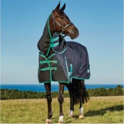 Weatherbeeta Green-Tec 900D Lite Plus Detach-A-Neck Rug - Black / Bottle Green -Weatherbeeta Shop Weatherbeeta20Green Tec20900D20Deatch A Neck20Lite20Plus20 20Black20Bottle20Green208.700x700 1