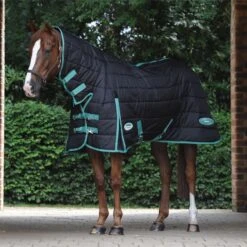 Weatherbeeta Green-Tec Medium-Lite Combo Neck Rug - Black / Green
