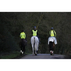 2022 Weatherbeeta Reflective Wrap Around Exercise Sheet 1004324 - Silver / Black -Weatherbeeta Shop Weatherbeeta20Reflective20Wrap20Around20Exercise20Sheet20Silver20Black201004324 lifestyle.700x700