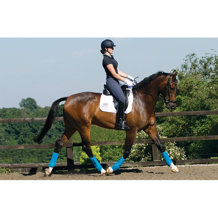 Woof Wear Training Wraps Turquoise 5 Woof Wear Training Wraps Turquoise - Image 5