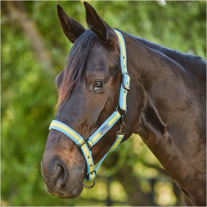 2023 Weatherbeeta Coordinate Headcollar 10020940 - Light Blue / Gold / Sand 1 2023 Weatherbeeta Coordinate Headcollar 10020940 - Light Blue / Gold / Sand