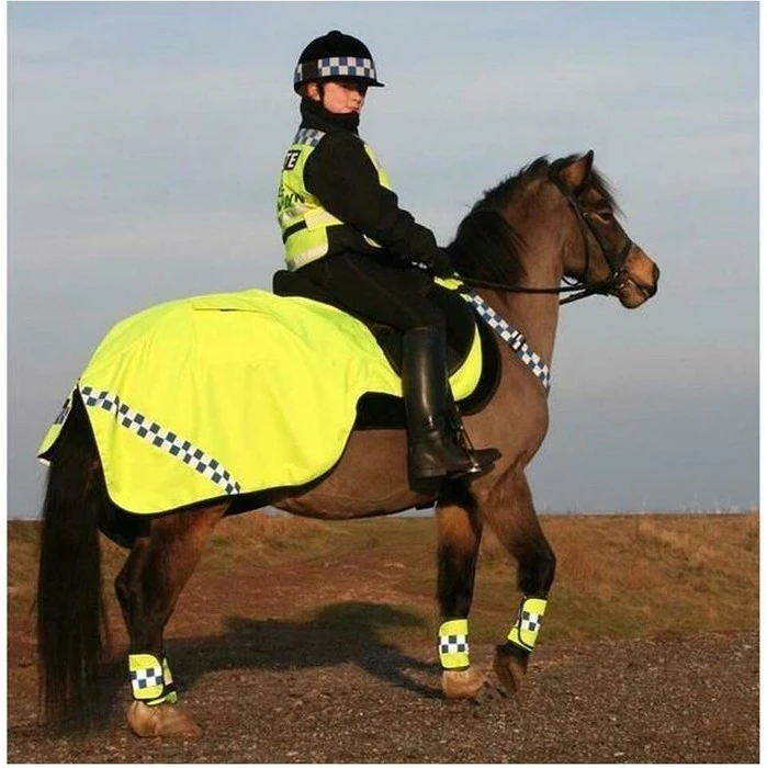 2022 Equisafety Polite Horse Leg Wraps POLLEG - Yellow 3 2022 Equisafety Polite Horse Leg Wraps POLLEG - Yellow - Image 3