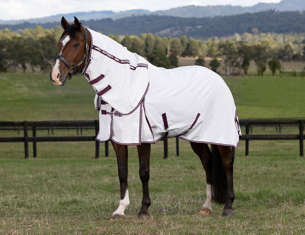 Weatherbeeta Shop -Weatherbeeta Shop 1024540000 WHITEMAROON WB Hybrid Seasons Sheet Image Hero Null