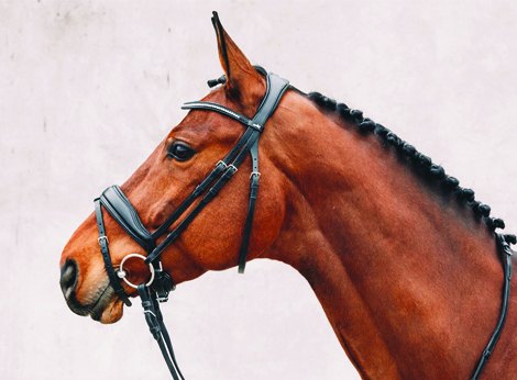 Weatherbeeta Shop -Weatherbeeta Shop 119